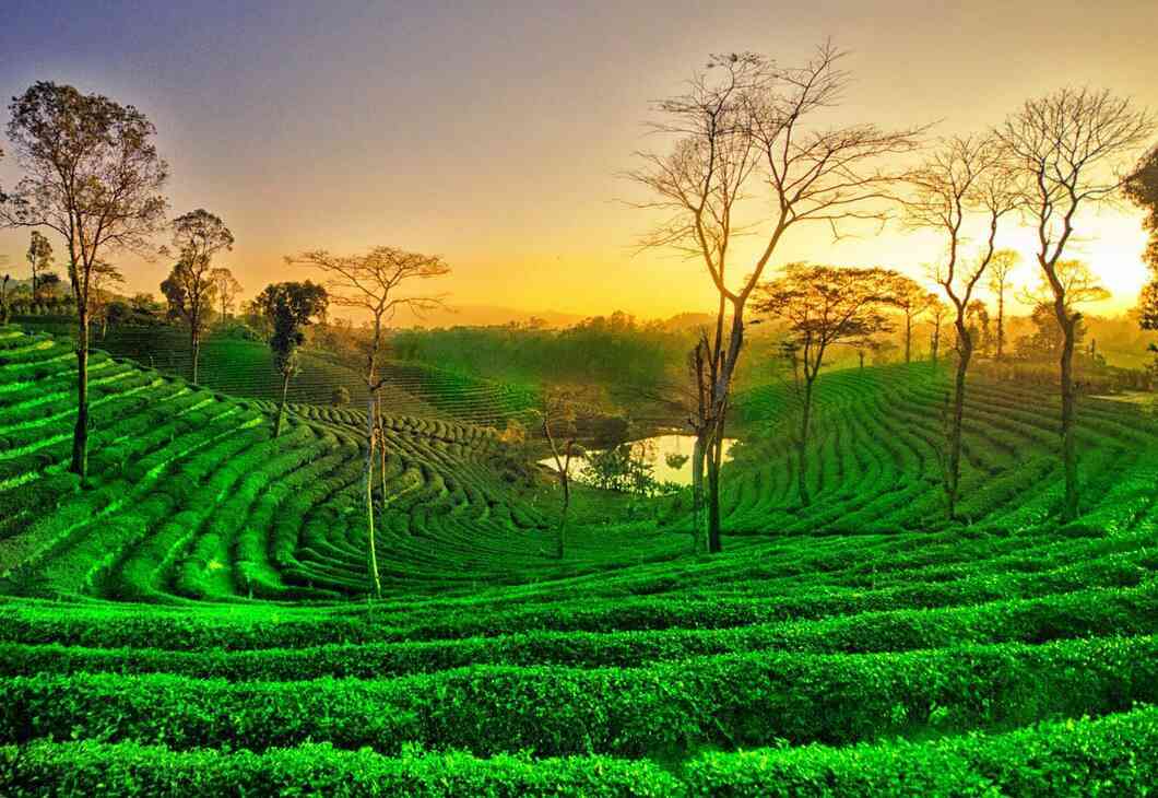 Assam: Where Nature and Culture Converge - A Journey Through the Enchanting Land of the Brahmaputra