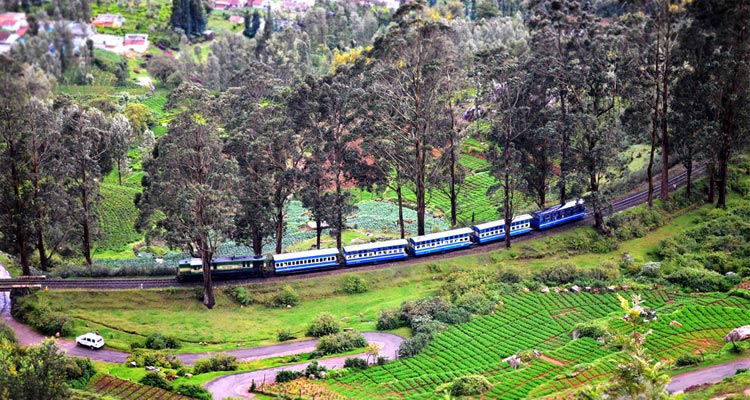 Ooty: Queen of Hill Stations - A Scenic Sojourn Through Nature' Abode