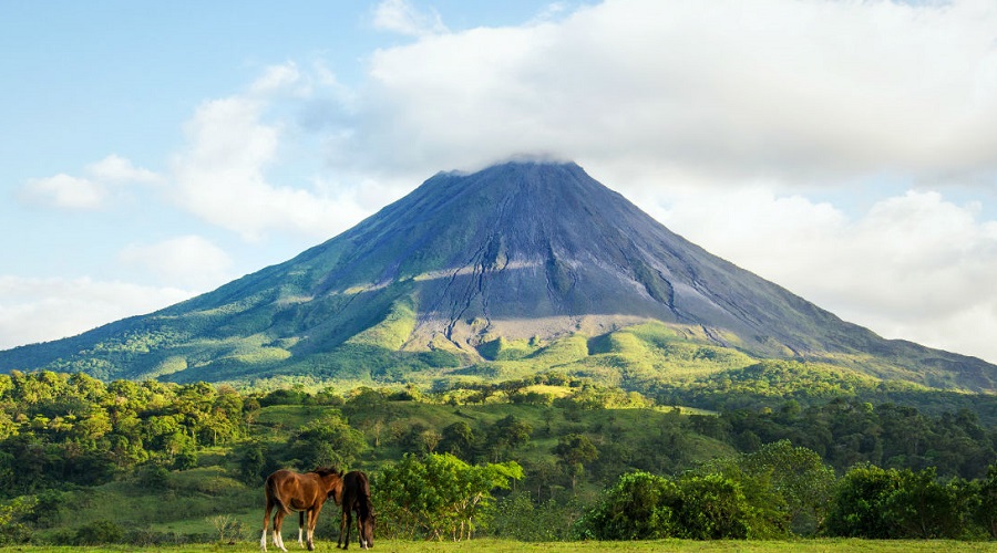 Pura Vida Explorer: 10-Day Costa Rica Wildlife & Volcano Adventure